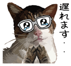 Megane&masukuNeko sticker #3468494