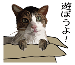 Megane&masukuNeko sticker #3468496