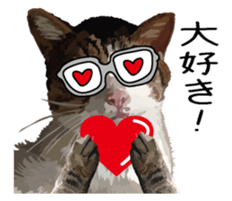 Megane&masukuNeko sticker #3468497