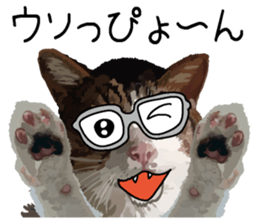 Megane&masukuNeko sticker #3468498