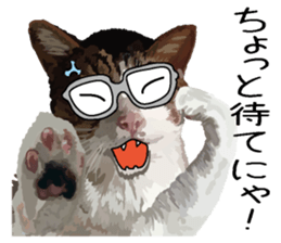 Megane&masukuNeko sticker #3468501