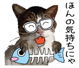 Megane&masukuNeko sticker #3468502