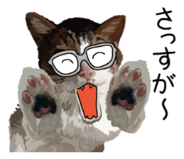 Megane&masukuNeko sticker #3468503