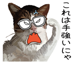 Megane&masukuNeko sticker #3468504