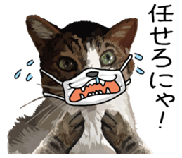 Megane&masukuNeko sticker #3468505