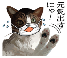 Megane&masukuNeko sticker #3468506