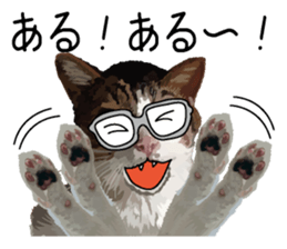 Megane&masukuNeko sticker #3468508