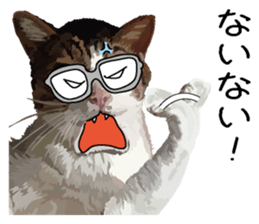 Megane&masukuNeko sticker #3468509