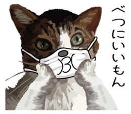 Megane&masukuNeko sticker #3468511