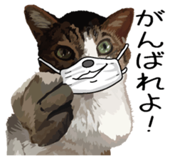 Megane&masukuNeko sticker #3468512