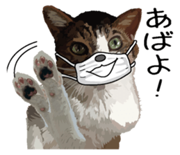 Megane&masukuNeko sticker #3468513