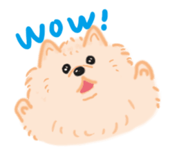 Baby Pomeranian CHOCO sticker #3470395