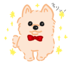 Baby Pomeranian CHOCO sticker #3470396