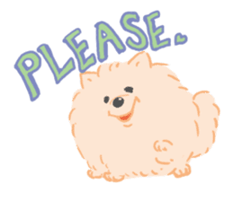 Baby Pomeranian CHOCO sticker #3470401