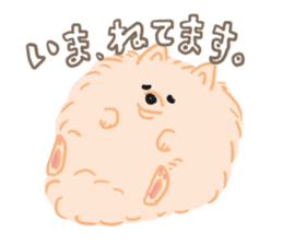 Baby Pomeranian CHOCO sticker #3470403