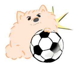 Baby Pomeranian CHOCO sticker #3470404