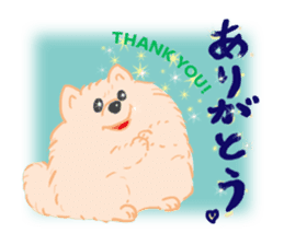 Baby Pomeranian CHOCO sticker #3470406