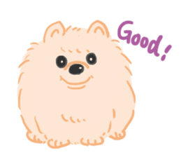 Baby Pomeranian CHOCO sticker #3470408