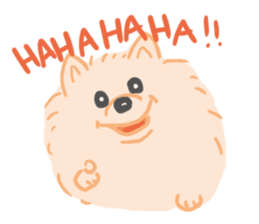 Baby Pomeranian CHOCO sticker #3470411