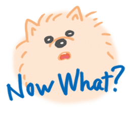 Baby Pomeranian CHOCO sticker #3470413