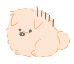Baby Pomeranian CHOCO sticker #3470415
