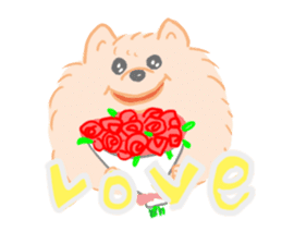 Baby Pomeranian CHOCO sticker #3470417