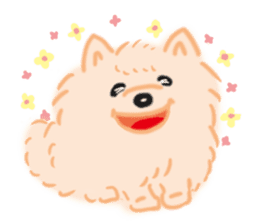 Baby Pomeranian CHOCO sticker #3470418