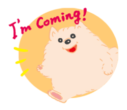 Baby Pomeranian CHOCO sticker #3470419