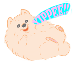 Baby Pomeranian CHOCO sticker #3470420