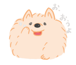 Baby Pomeranian CHOCO sticker #3470421