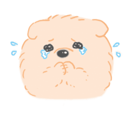 Baby Pomeranian CHOCO sticker #3470424