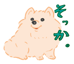Baby Pomeranian CHOCO sticker #3470425