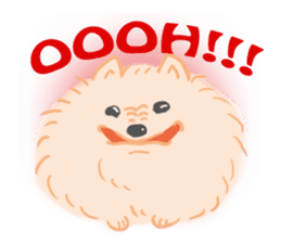 Baby Pomeranian CHOCO sticker #3470428
