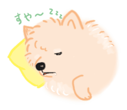 Baby Pomeranian CHOCO sticker #3470431