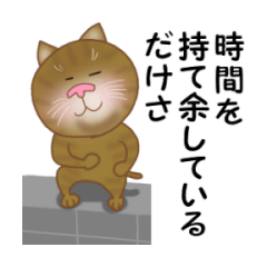 Rin of the cat