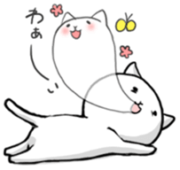 White Cat (Daily) sticker #3477505