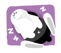 why ? Rabbits. Why is your name "WHY"? sticker #3481158