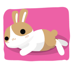 why ? Rabbits. Why is your name "WHY"? sticker #3481160