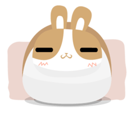 why ? Rabbits. Why is your name "WHY"? sticker #3481164