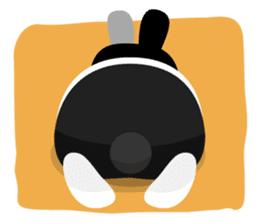 why ? Rabbits. Why is your name "WHY"? sticker #3481165