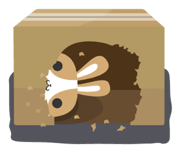 why ? Rabbits. Why is your name "WHY"? sticker #3481166