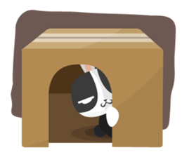 why ? Rabbits. Why is your name "WHY"? sticker #3481167