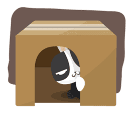 why ? Rabbits. Why is your name "WHY"? sticker #3481167