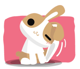 why ? Rabbits. Why is your name "WHY"? sticker #3481178