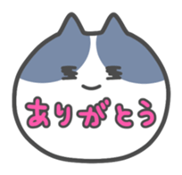 Chloe of the cat sticker #3481361