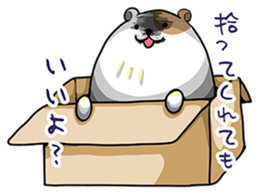 Yukako of hamster sticker #3482145