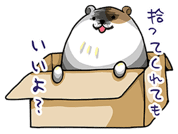 Yukako of hamster sticker #3482145