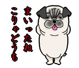 Pug of death flag sticker sticker #3489088