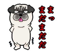 Pug of death flag sticker sticker #3489112