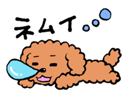 POPAI sticker #3490363